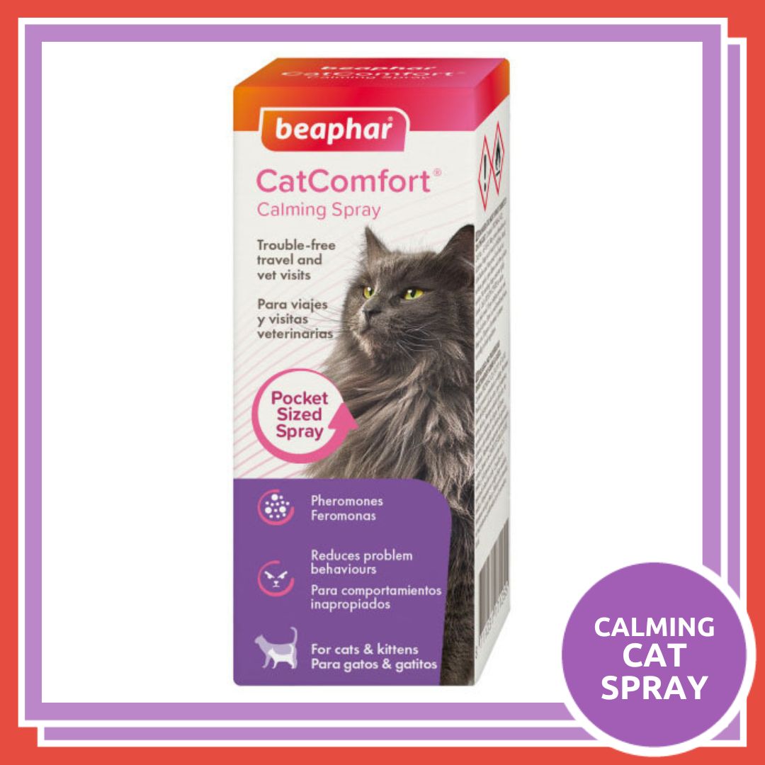 Rookes_Pets's tweet image. 🎆 Keep calm it'll soon be firework night!

With Halloween and Bonfire Night just around the corner, pop in store to shop our extensive range of calming comforts and help your pet keep their cool.

#fireworks #firework #fireworkshow #fireworksafety #anxiousdog #reactivedog