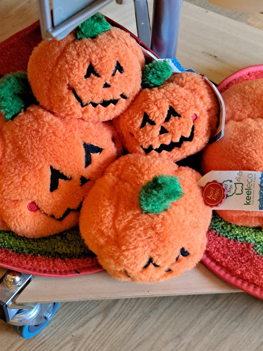 HestercombeGdns's tweet photo. It is spooky season! π»
As well as our Halloween trail and activities this half term, we have some great spooky gifts and treats in our Gift Shop.
Don't forget to pop in if you're visiting!
#Halloween #halloweengifts #spookyseason #giftshop #hestercombe https://t.co/cQW7UETUKg