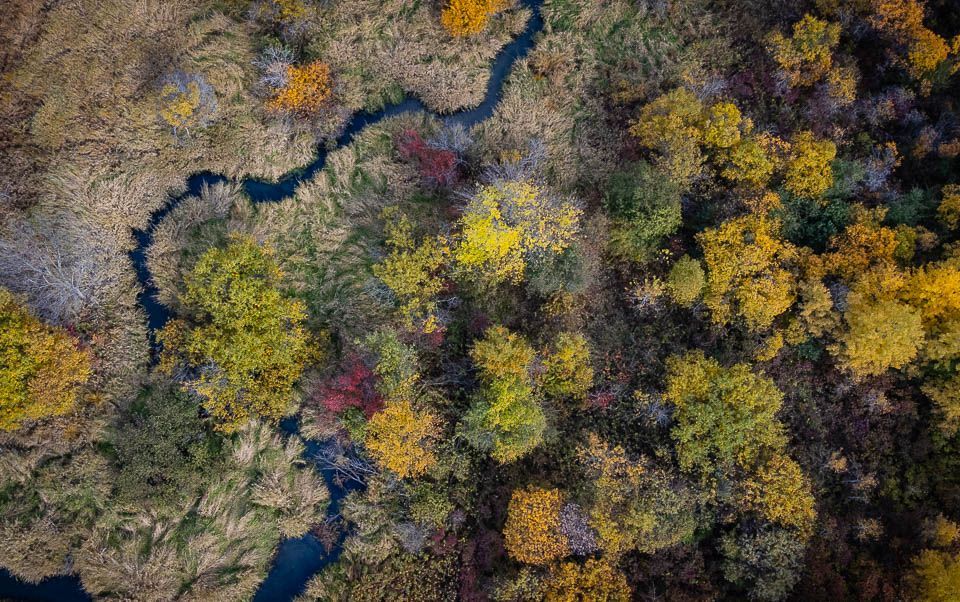 JoeMillerPhoto's tweet photo. Fall color abstract, St. Cloud, MN. #minnesota #autumn #fall https://t.co/WJl17CI4gz