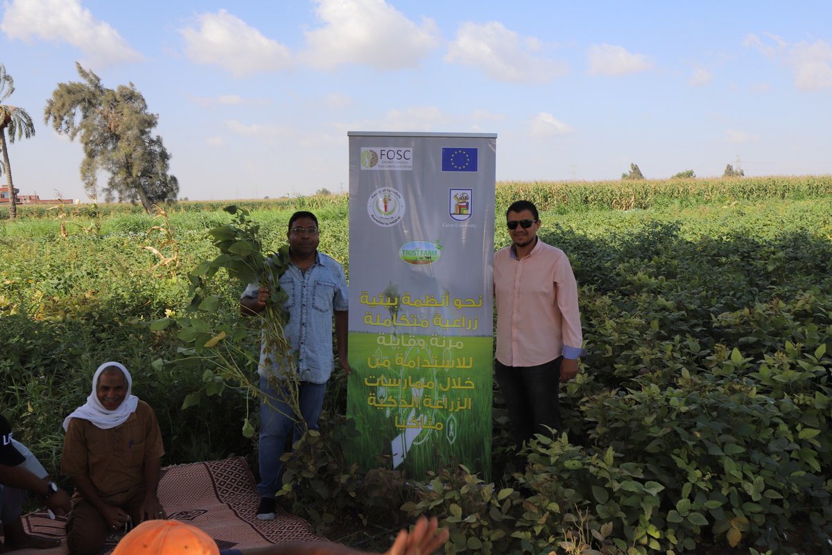 TRUSTFARM_FOSC's tweet photo. 🌱Fresh from Nobaria! Witness the vibrant soya bean fields at our #TRUSTFARM Field School. 
A testament to our commitment to sustainable farming and continuous growth. Stay tuned for more! #SoyaBeanField #SustainableFarming
@foscera https://t.co/YjVVQtsh9r
