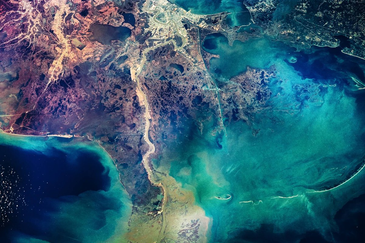 GreenTreesUSA's tweet photo. "Nature is not a luxury—it's a necessity." Disappointed to see SBTi overlook the immense value of Nature in our fight against climate change. We need an AND+ mindset now more than ever—Renewables AND Nature. #ClimateAction #RevaluingEarth https://t.co/HfjXvTzXp6 https://t.co/MMrdQQLJc8