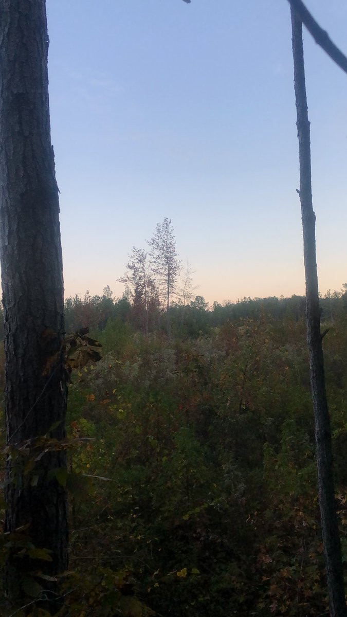 Kayla Cook tweet media