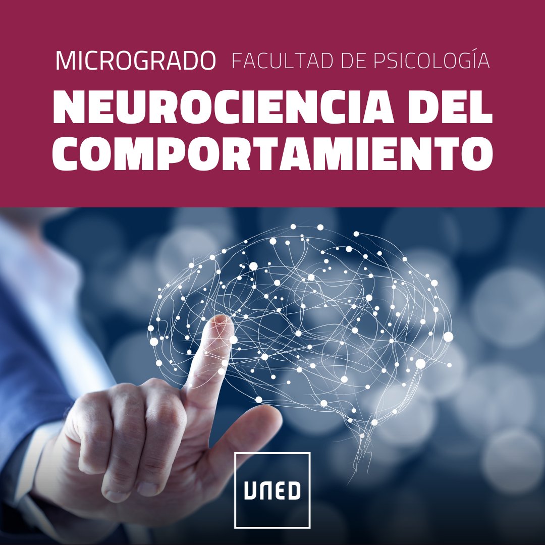 UNED's tweet photo. 🟢 ¡Nuevo #Microgrado en Neurociencia del Comportamiento!
📝 Aprende a tu ritmo con asignaturas que proporcionan una formación completa del estudio del comportamiento desde diferentes niveles de análisis.
🔗 https://t.co/bs5nxIVkMl
#SomosUNED https://t.co/8T1nNeOgZF