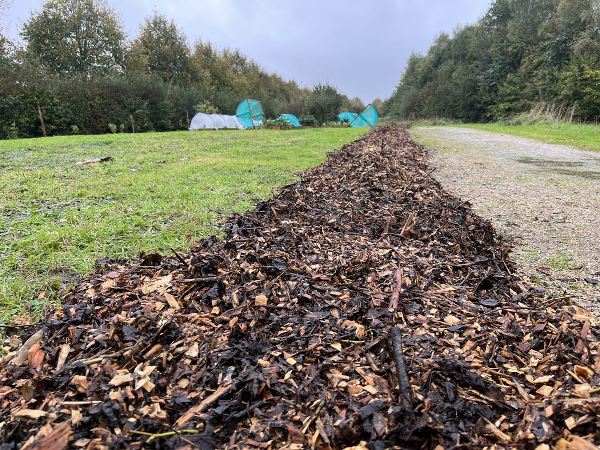 Despite rain we gathered at the GLAS @WeAreTUDublin garden for our #ClimateActionWeek Hawthorn Hedgerow series to prepare the ground for February planting. Thanks to @Hort_Rach, @gapireland, Lee, Rebecca, Mike, @sheonaf & Culinary Innovation & Food Product Development students 🧤