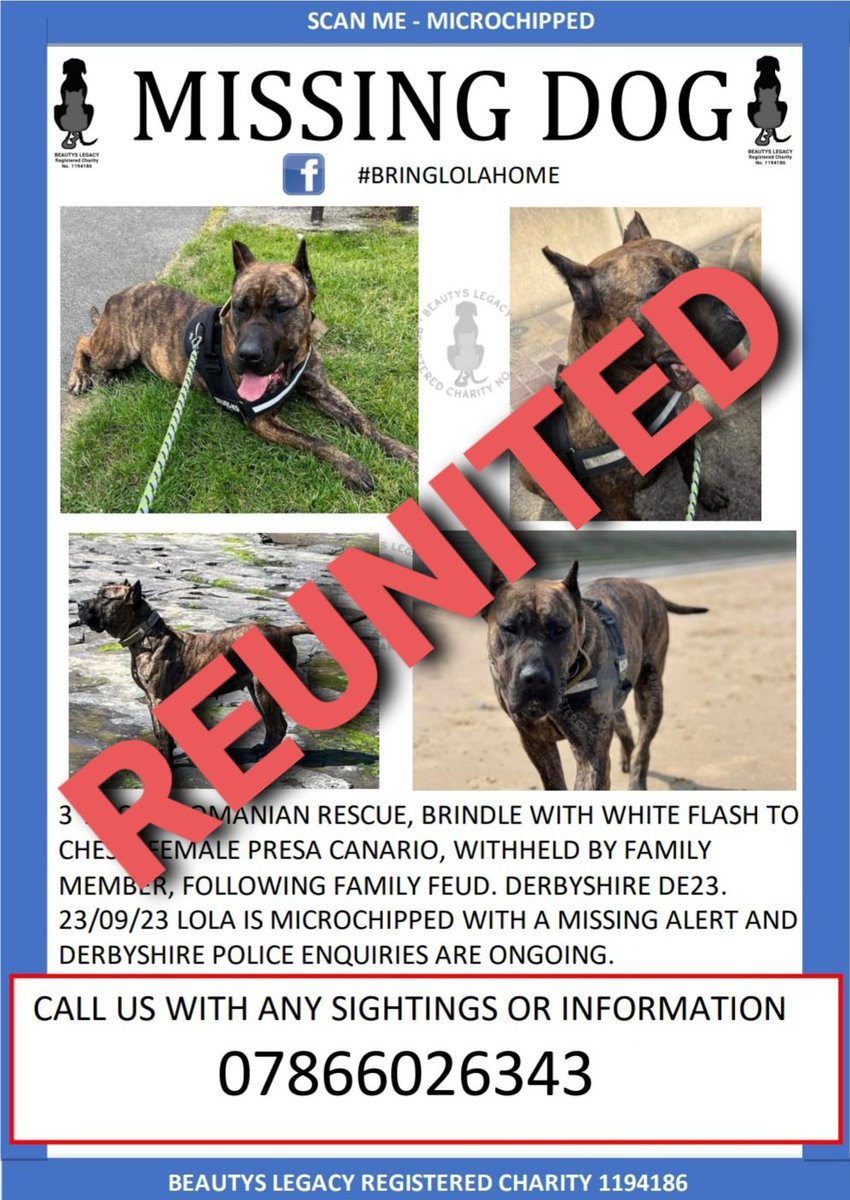 Thrilled to announce Lola is reunited with her legal owner today. Thanks to a lot of hard work and the support of Derbyshire police. Stay safe beautiful girl 🧡 @DerbysPolice @animalstaruk @RSPCA_official @DerbysDogPolice @BBCDerby @derbyshire_live #lolareunited