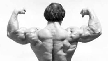 meffridus's tweet photo. The necessary quest has represented itself. #OCTOBERQUEST #ChosenFew #BiggerArms https://t.co/tWB7Q0e4zV