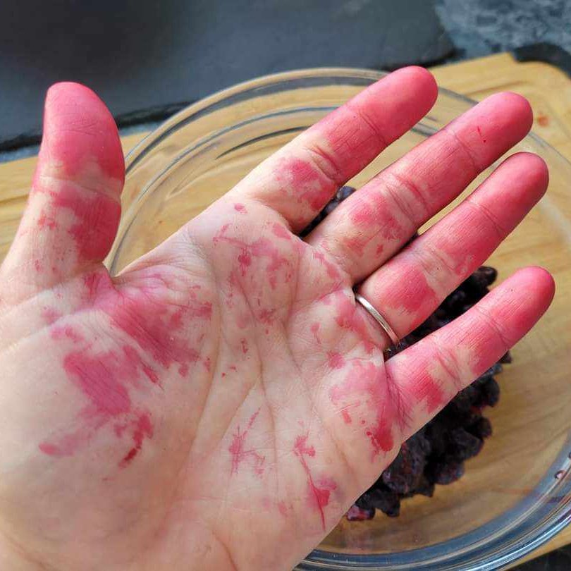 Need a last minute #fabricdye or #skinpaint for that #halloweencostume?! #Haskaps #anthocyanin content make for great dyes!
HAPPY HALLOWEEN!
Now who is dressing up as our favorite Canadian Super Fruit?!

#haskapdye  #haskapontario #CanadasSuperFruit #anthocyaninpigmentation