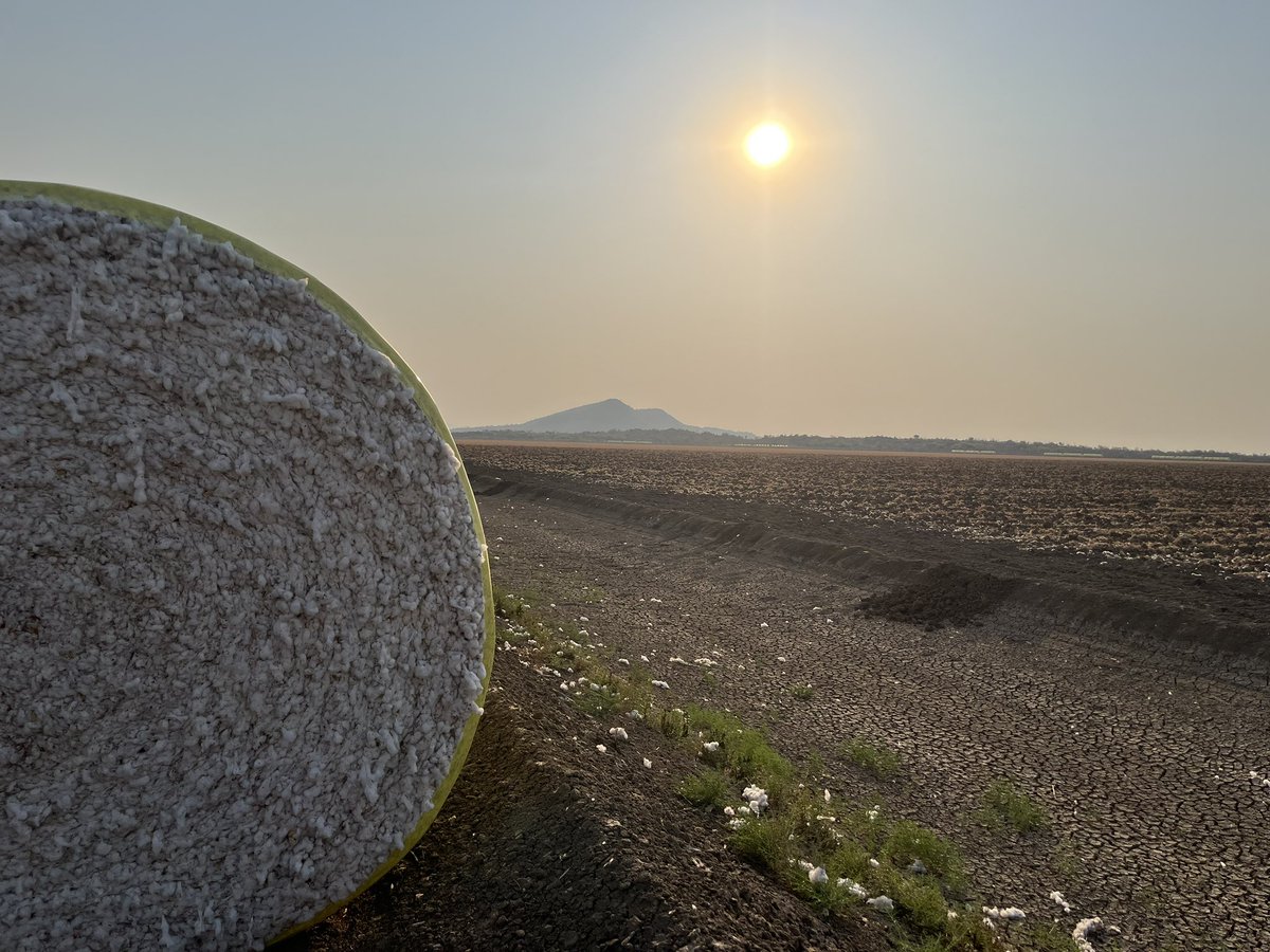 What a amazing place 😎
Bit hot 🥵 still truly extraordinary.
Some exciting things happening in this next of the woods