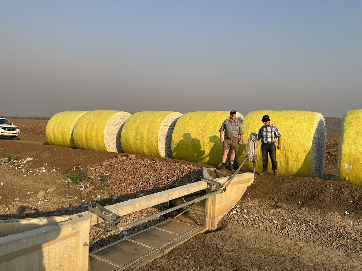 Shawn Padman tweet media