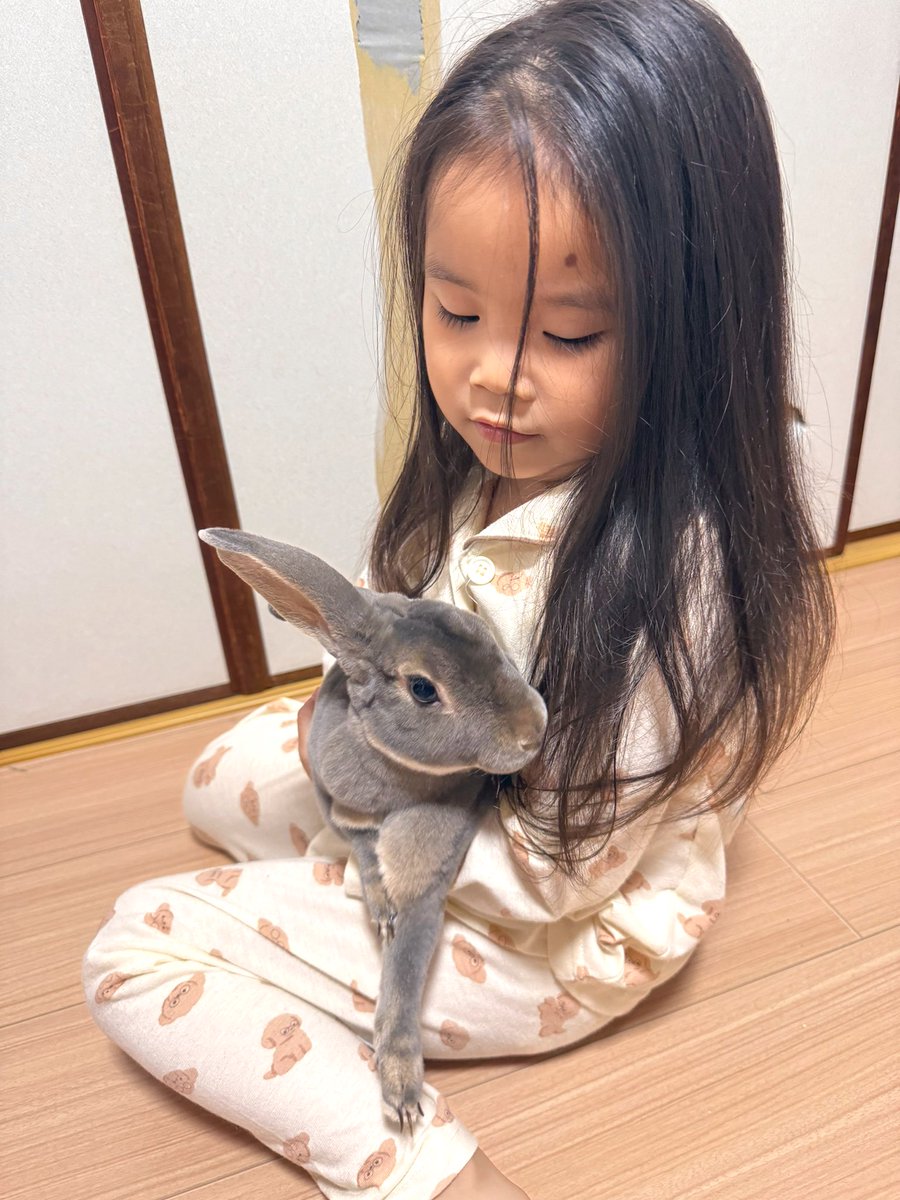 ballpython0822's tweet image. ミニレッキス🐰とミニ怪獣⋆͛🦖⋆͛
