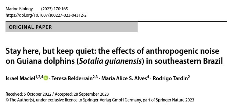 Israel Maciel tweet media