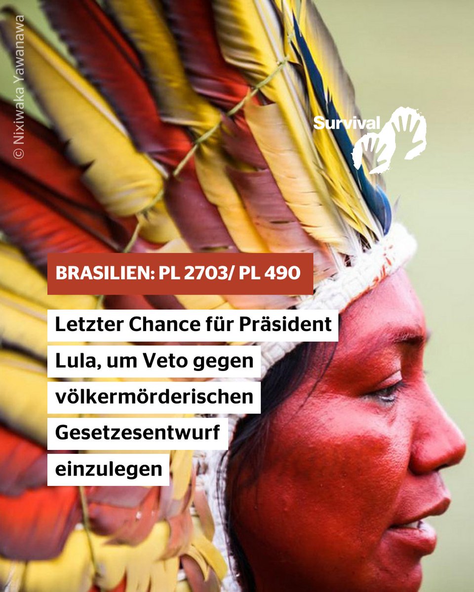 SurvivalDeutsch's tweet photo. #Brasilien: Heute ist der letzte Tag an dem Präsident @lulaoficial sein Veto gegen den völkermörderischen Gesetzesentwurf PL2903 (ehemals #PL490) einlegen kann.
Sowohl das 🇧🇷 Unterhaus als auch der Senat haben den Gesetzesentwurf durchgewunken ...
1/x https://t.co/s9CFWq8aqn