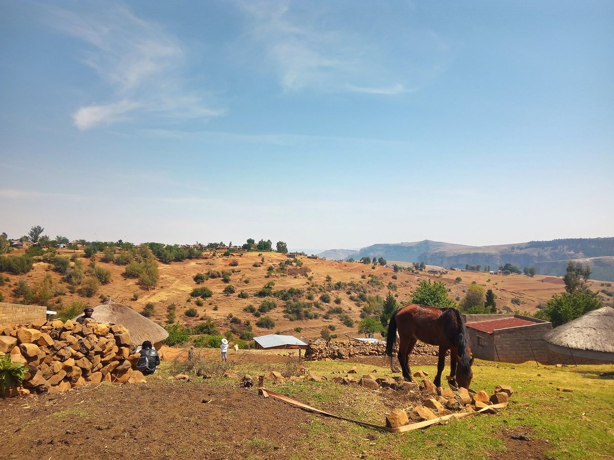 <a href="/BlackCabalist/">RomVega</a> Hae lapeng motho  teng oko hlaelle🐃🇱🇸