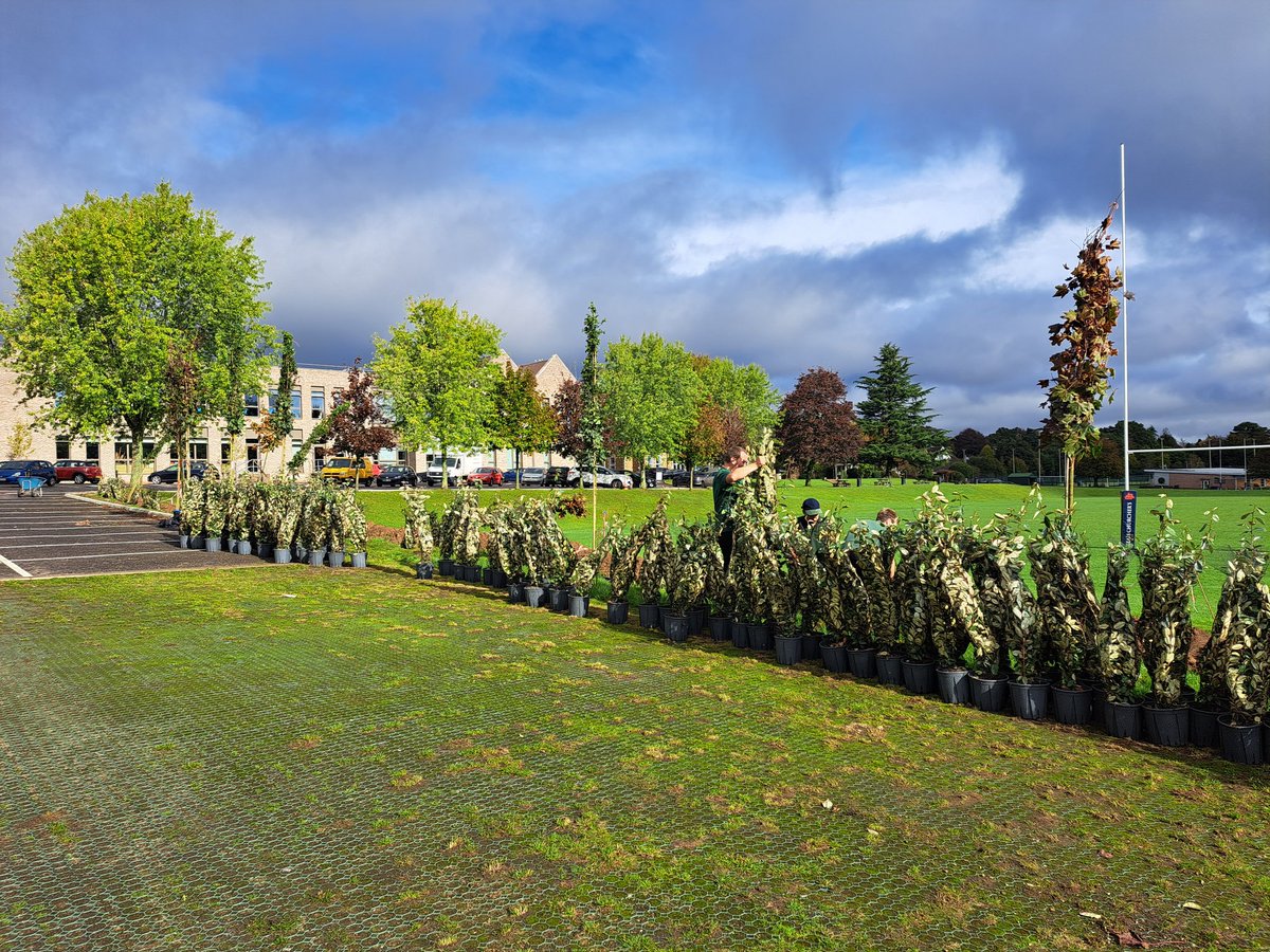 The grounds team are hard at work, planting a new hedge over half-term. 370 plants and 10 trees . 
#ChurchersGrounds