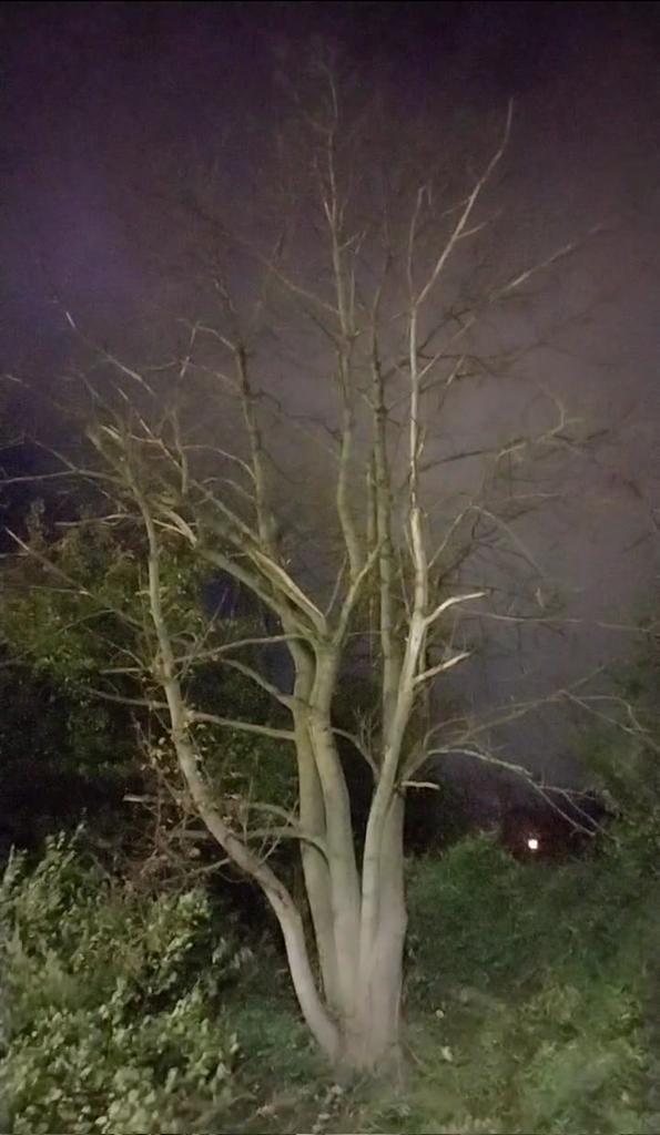 TheTarotStar's tweet image. #discount #pickle #noweapons #tar #trip #send #canal #dry #cake #hotel #open #vacation #apartment #deposit