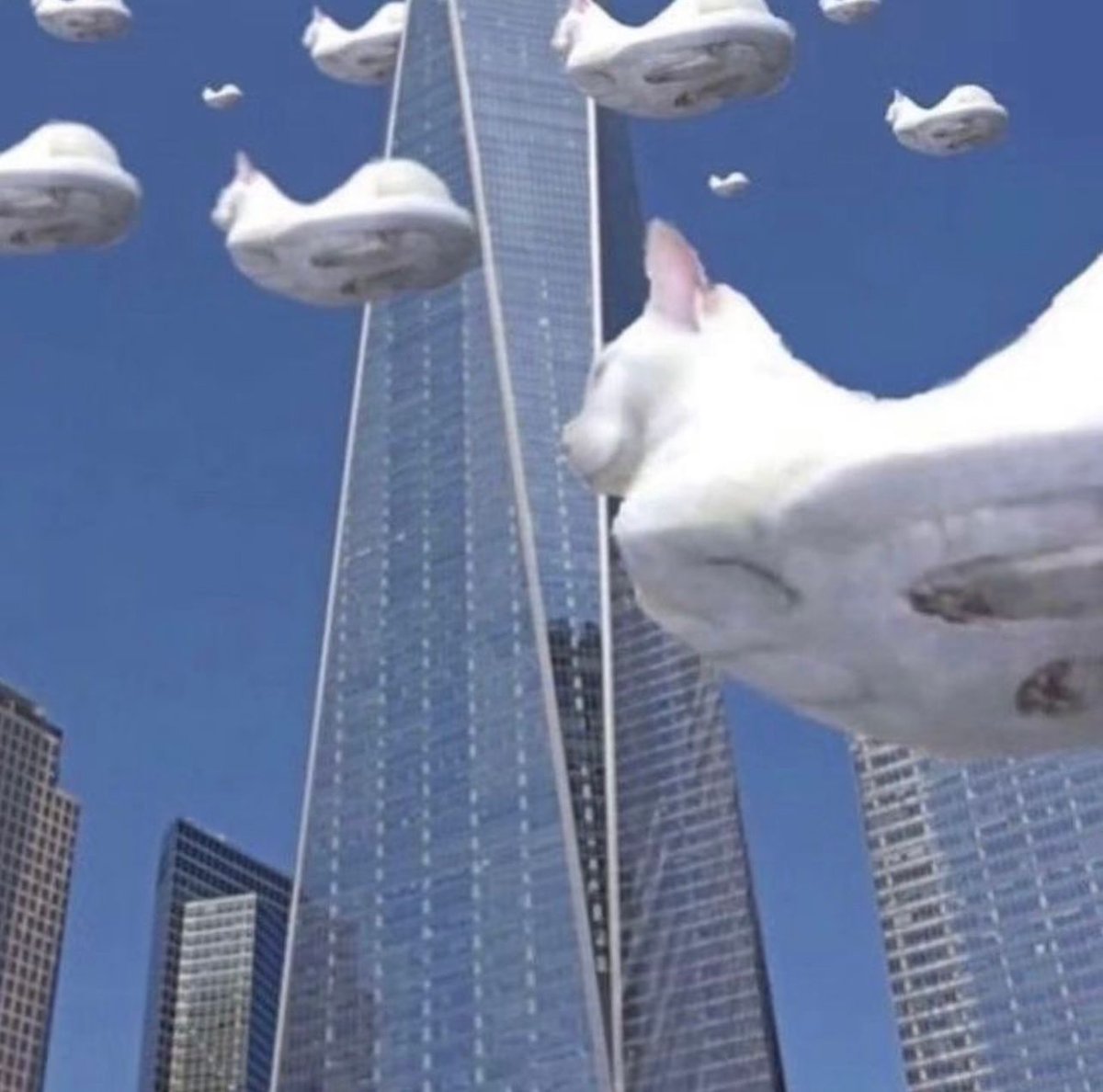 clouds look so pretty today