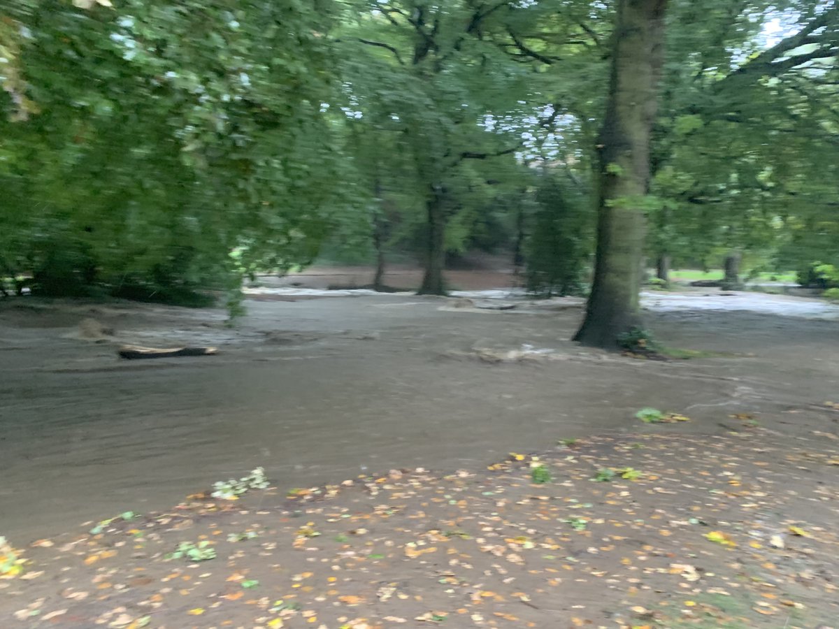 sheffield_dust's tweet image. #porterbrook #endcliffe park now.