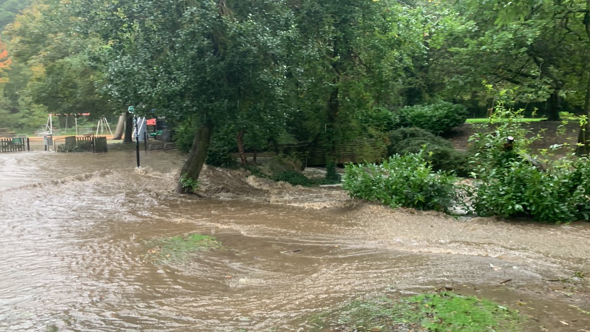 sheffield_dust's tweet image. #porterbrook #endcliffe park now.