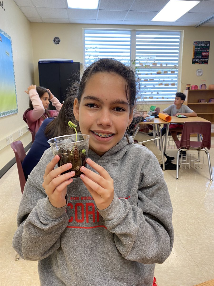 Kinloch Park Middle (@kinlochpark) on Twitter photo Just add sunshine, water and and a little ❤️ and they will grow…. <a href="/MDCPS/">Miami-Dade Schools</a> <a href="/MDCPSCentral/">Central Region</a> <a href="/MDCPSSci/">M-DCPS Science</a> Just add sunshine, water and and a little ❤️ and they will grow…. <a href="/MDCPS/">Miami-Dade Schools</a> <a href="/MDCPSCentral/">Central Region</a> <a href="/MDCPSSci/">M-DCPS Science</a>