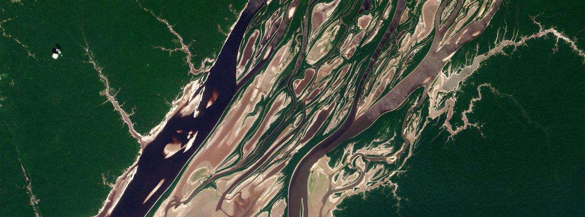 Brazilian #Amazon is experiencing the most severe #drought ever recorded, and many scientists think that the forest may be reaching a #TippingPoint. However, #deforestation keeps slowing down thanks to reinforcement of control and environmental legislation news.mongabay.com/2023/10/despit…