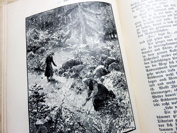 シュティフターの習作集にある「森の小径」の挿絵です。チブリウスとマリアが森の中でイチゴを探す場面。

先月植えたワイルドストロベリーが良い感じで育っているので、イチゴの畑を作りたいとひそかに考えています。

タイムとワイルドストロベリーを半々で・・・