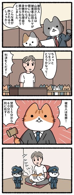 猫の裁判所 #ねこのおしごと