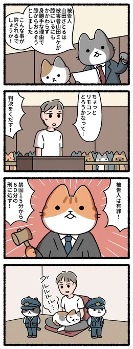 猫の裁判所 #ねこのおしごと