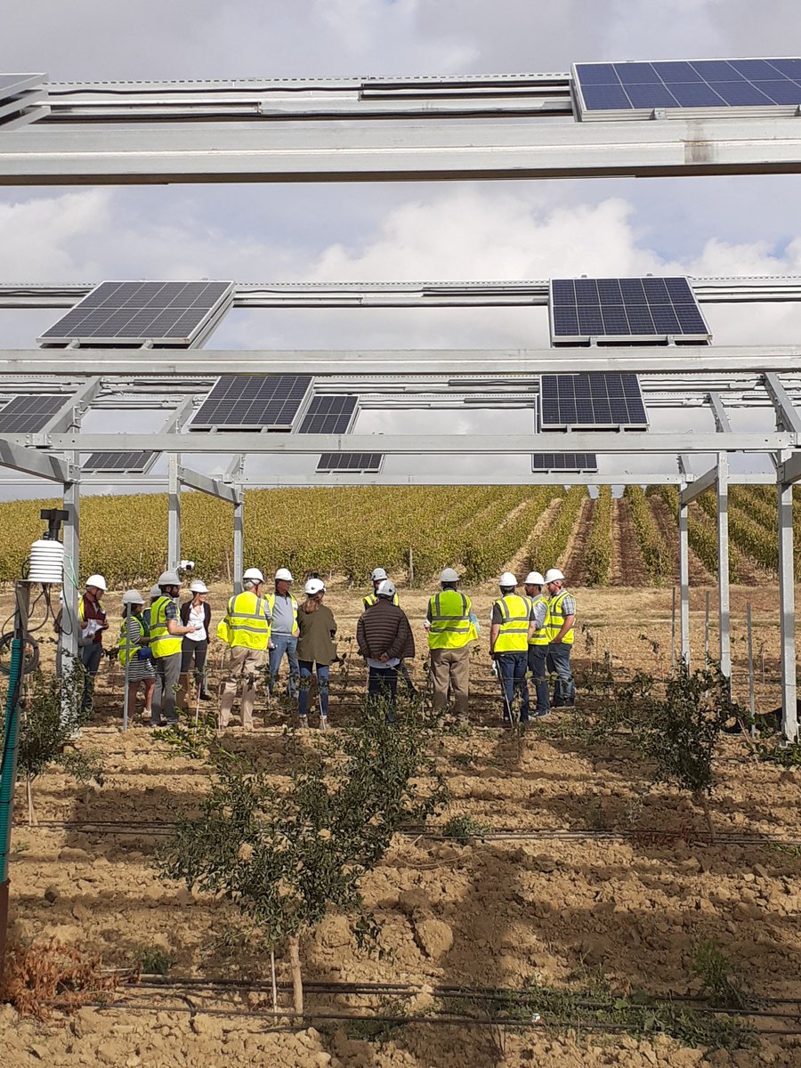 Quand les Etats-Unis regardent vers la France...​ ​ Pour parler #agrivoltaïsme ! ✊​ ​ 👉 Ombrea et @TotalEnergies Renewable Solutions ont eu l'honneur de recevoir une délégation américaine en visite sur notre site agrivoltaïque de Villemoustaussou en Occitanie ce mercredi.