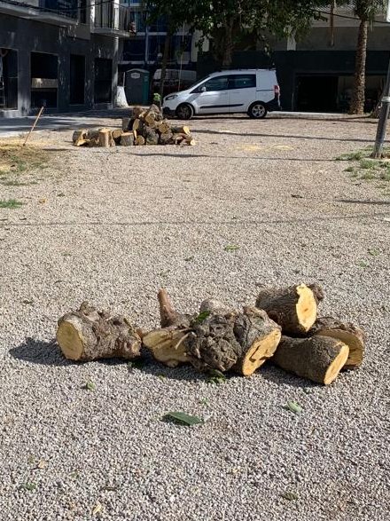 Avui, l'<a href="/ajuntamentvng/">Vilanova i la Geltrú</a> ha comés un altre arboricidi. Aquesta vegada la víctima ha estat una morera del passeig Marítim, 65. 
En plena crisi ecològica, l'ordenança de protecció de l'arbrat i espais verds continua en un calaix. 
Ja els va bé, poden actuar impunement.