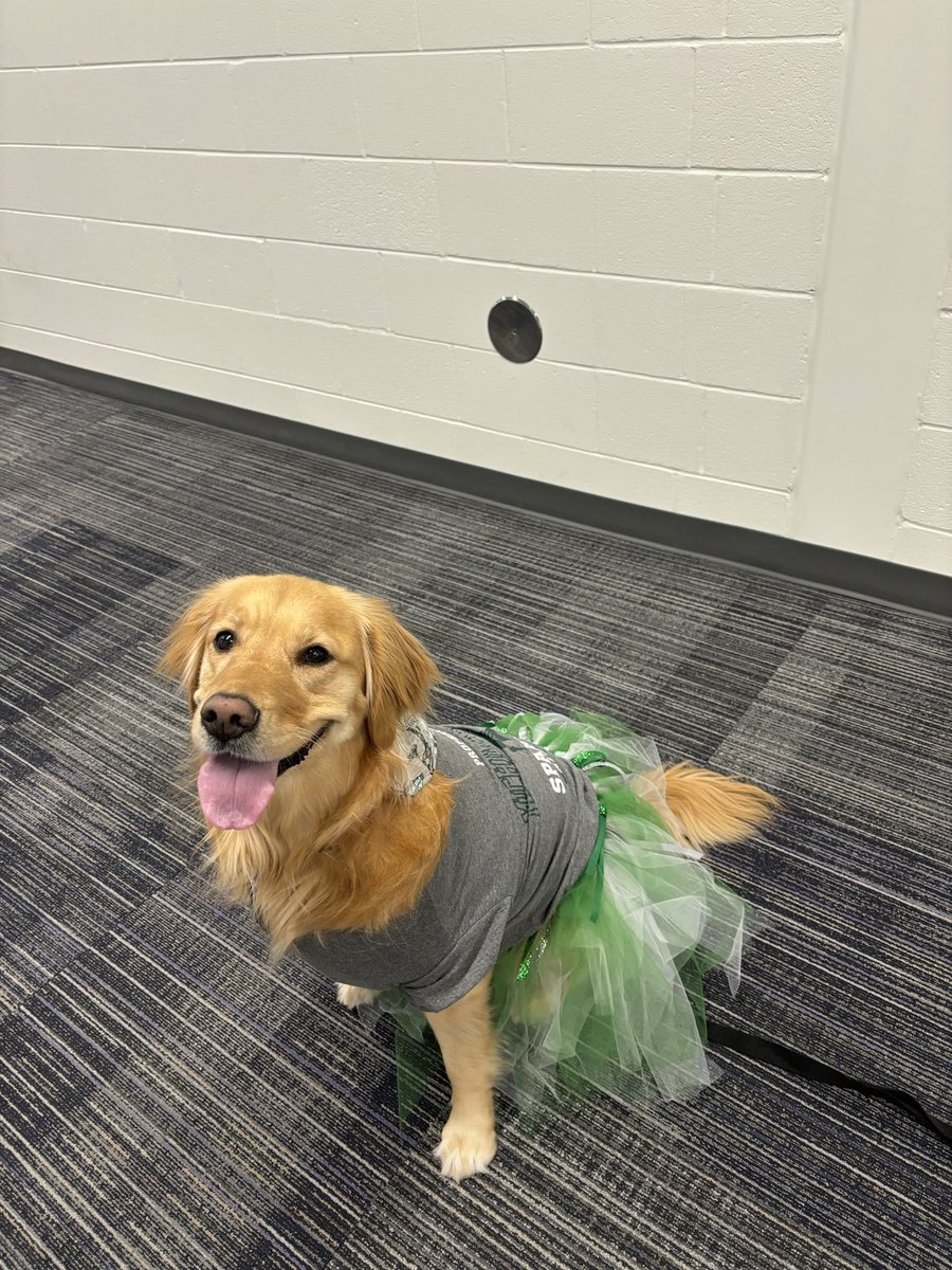 whs_wolves's tweet photo. Stella the WHS therapy is supporting MSU today! Go Green π Go Wolves π #WolvesWPS #BetterTogetherWPS https://t.co/CAVdu9fW3e