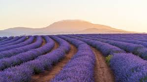 dmhajihad's tweet photo. Which place is your favorite
#Australia #Australie https://t.co/lre5SRrYlv