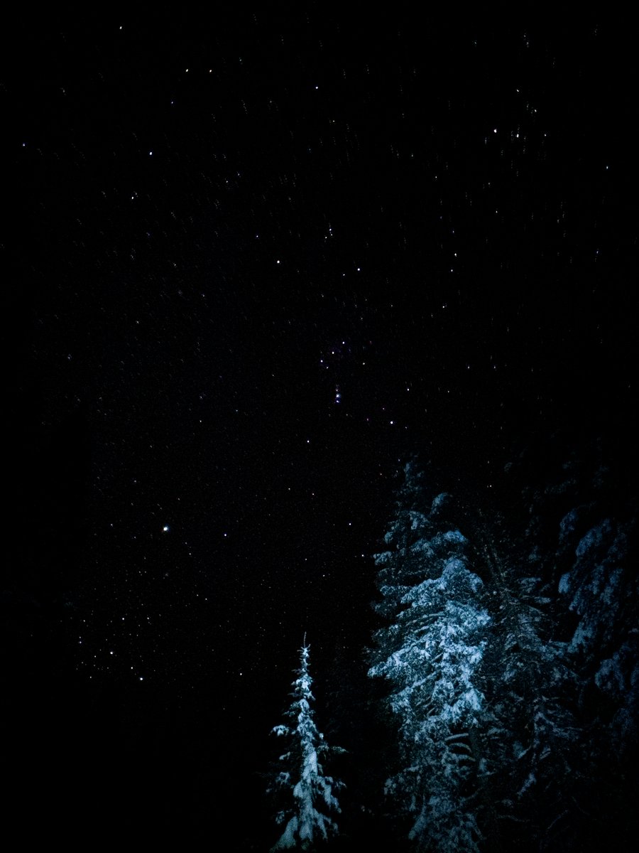 Torrey Dawley tweet media