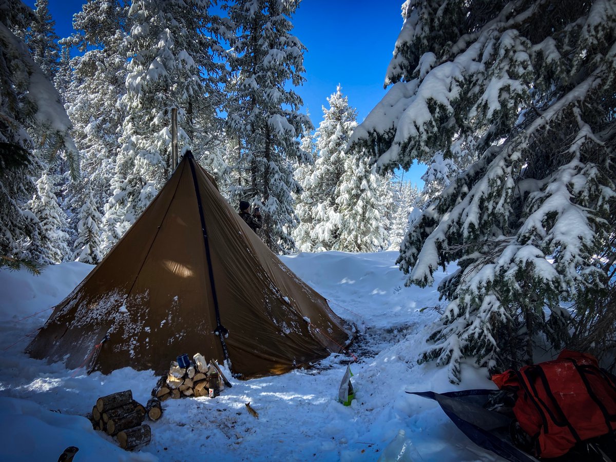 Torrey Dawley tweet media