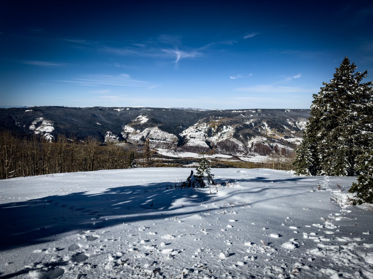 Torrey Dawley tweet media