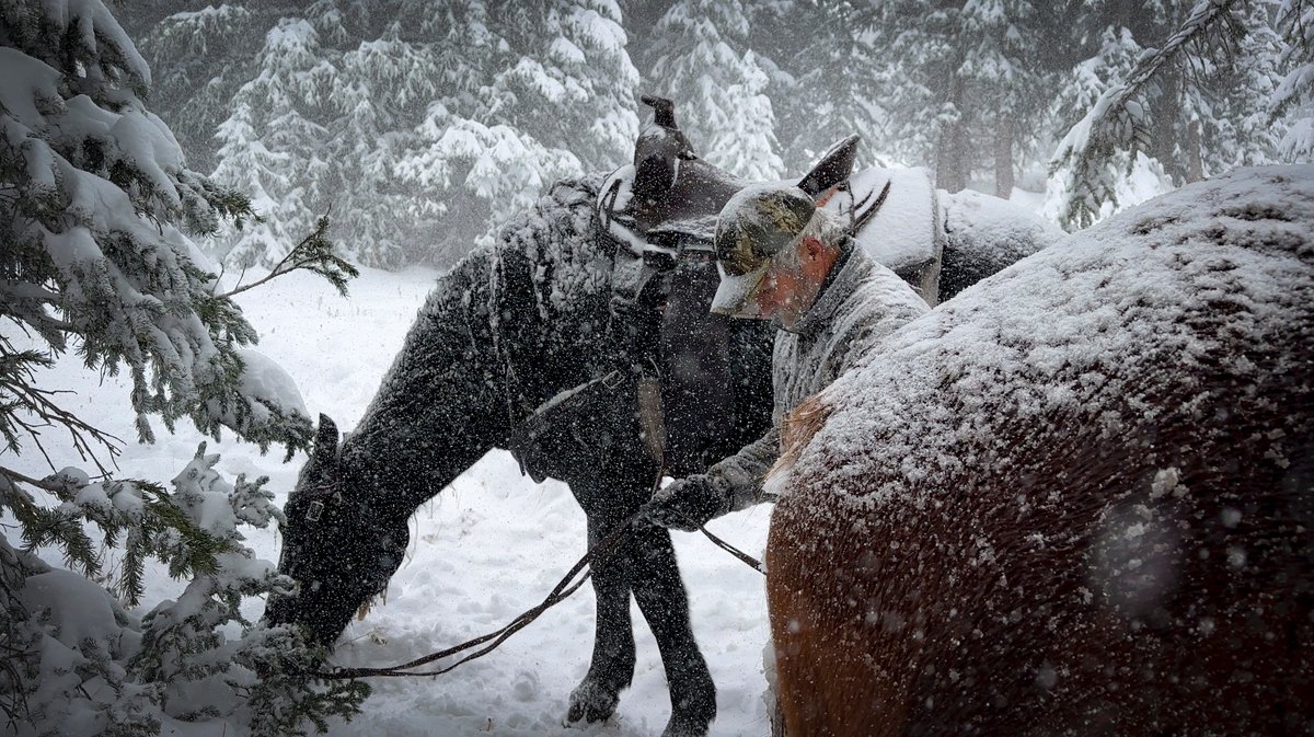 Torrey Dawley tweet media