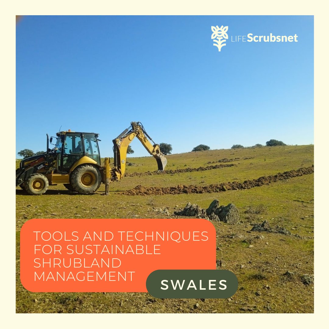 LScrubsnet's tweet image. Tools and Techniques for #Conservation: #Swales 🌿

Why are they important? 
🌎 They Control Erosion
🌱 Improve Water Quality
💦 They serve to recharge Aquifers
🏙️ Improved Stormwater Management
🌿 Promotion of Vegetation

ℹ More info: lifescrubsnet.eu/conservation-t…