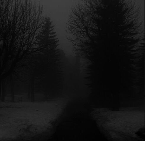 gIoomyweather's tweet photo. gloomy aesthetic. https://t.co/ulGcgGKv72