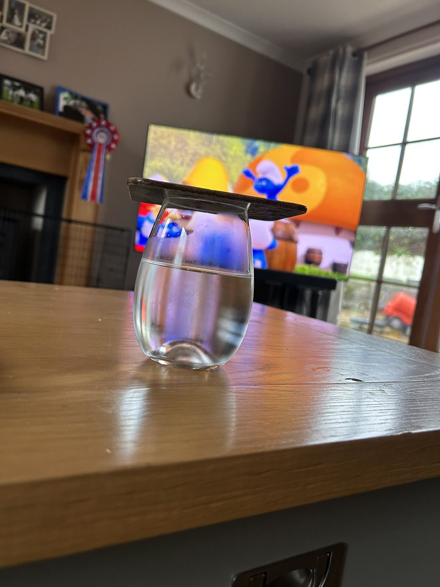 Only people with kittens would understand