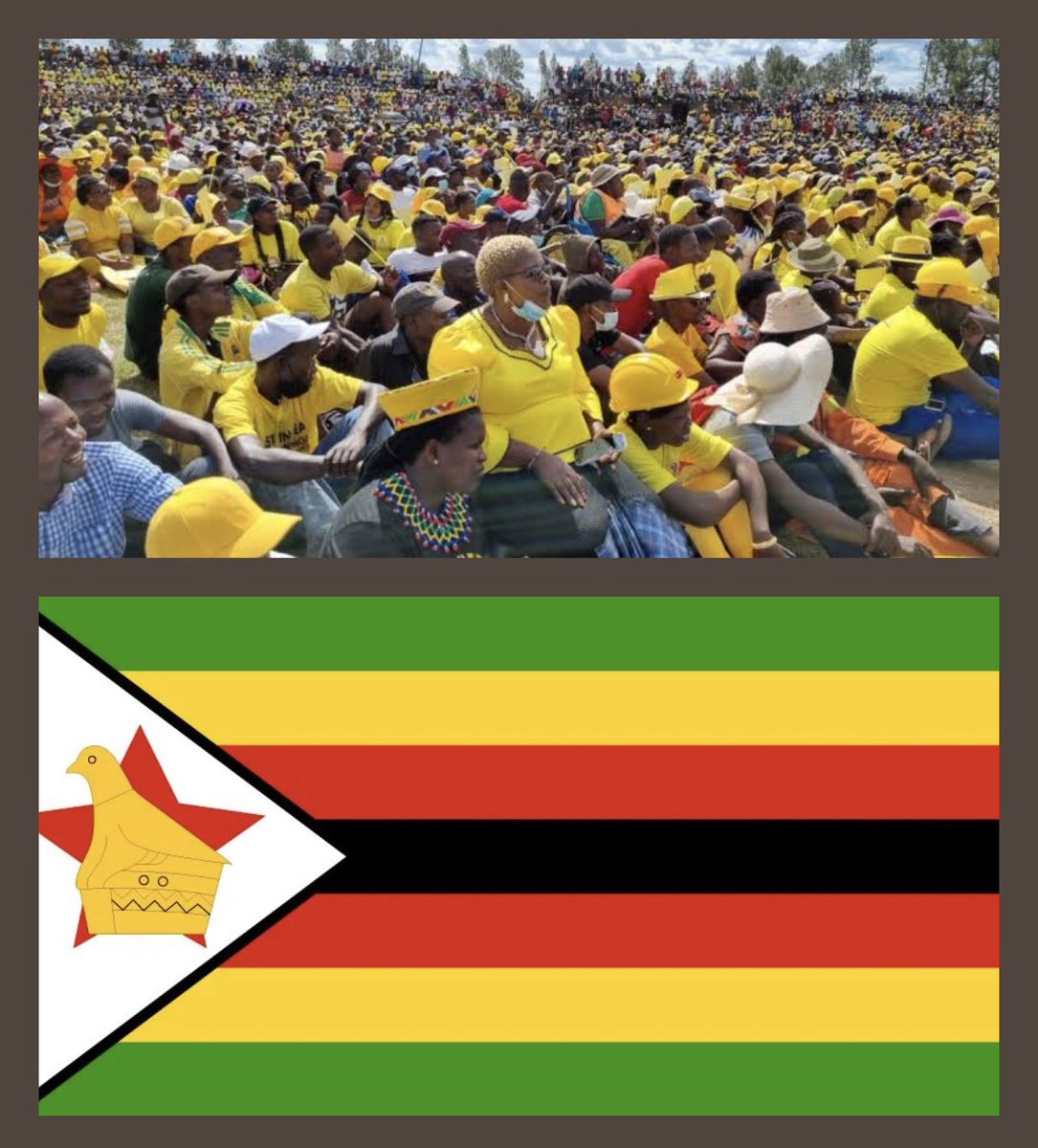 If courts are not captured, there will be no by-election in Zimbabwe until the CCC MPs and councillors are heard in the High Court.

I don’t know why CCC didn’t include President Mnangagwa in its court papers opposing the recalls since he is the one with authority to call for