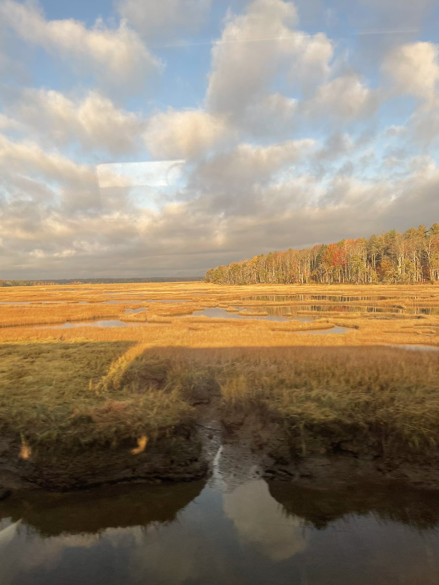 Beautiful views headed south on the @RideRail this morning