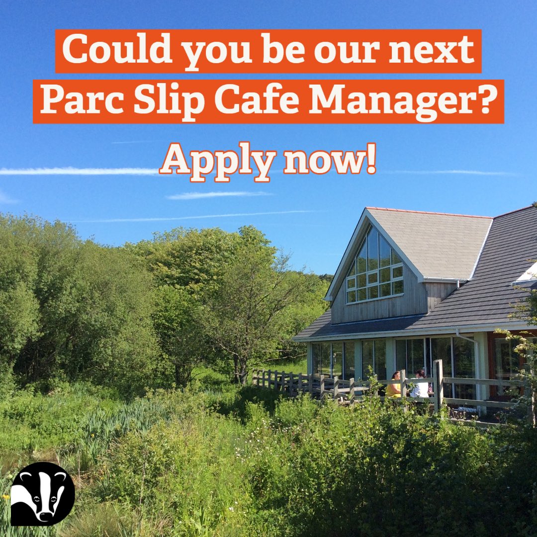 📣 Job Opportunity 📣 We are looking for a full time Cafe Manager to join our Parc Slip Visitor Centre & Cafe team. 🤩🧁☕️ Application deadline is Friday 27th October 2023. Apply today! For more info click on link below.👇🏼 💻 welshwildlife.org/jobs/cafe-mana…