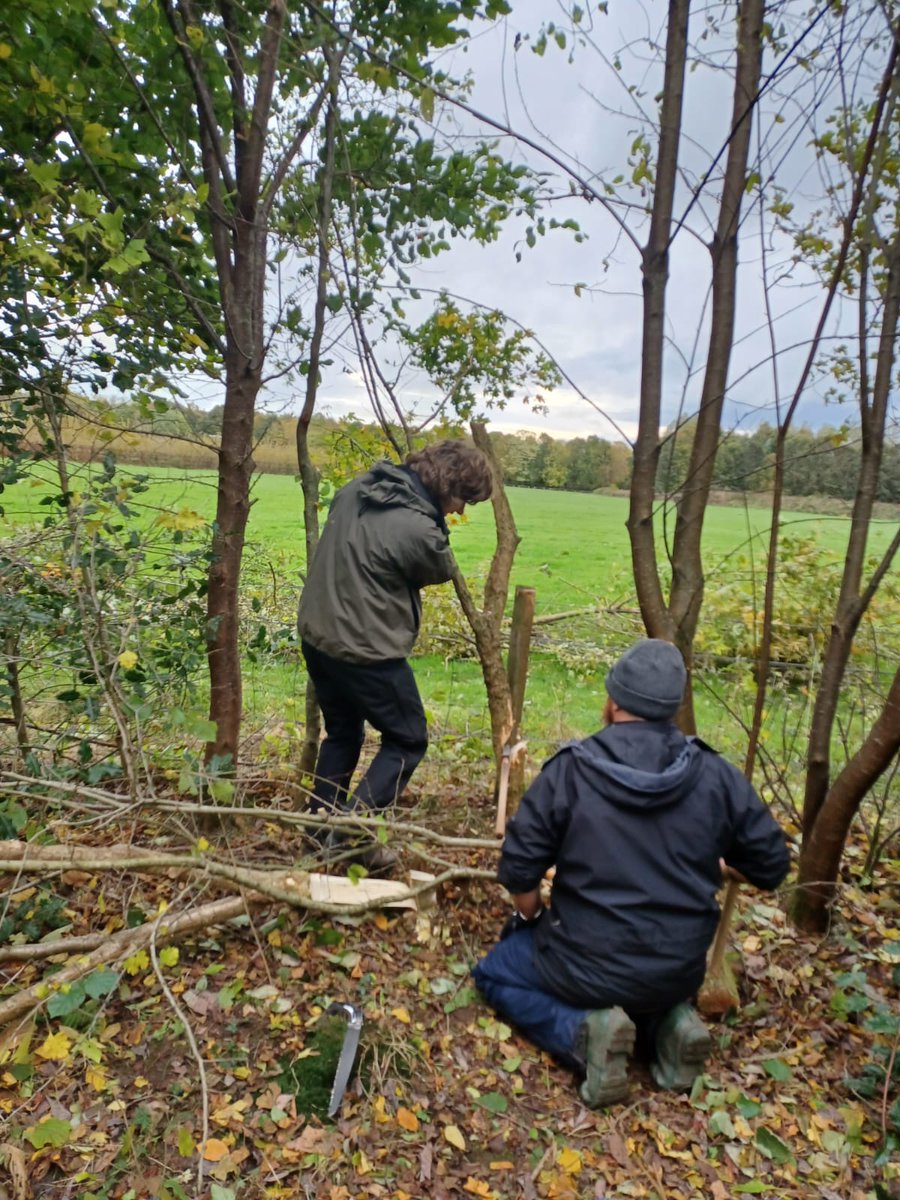 Hedgerow laying and willow harvesting with the Friday Conservation Volunteers and Lynne from @Nectar_Network Amazing teamwork and partnership working. 👏 @NAGreenHealth @les622 @North_Ayrshire @SCRAOnline #Volunteers #hedgelaying