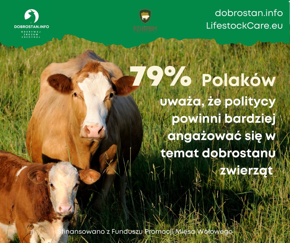 Dobrostan_info's tweet photo. 79% Polaków uważa, że politycy powinni angażować się w poprawę dobrostanu zwierząt.

#FPMWł #dobrostanzwierzat https://t.co/1NLseKSI2j