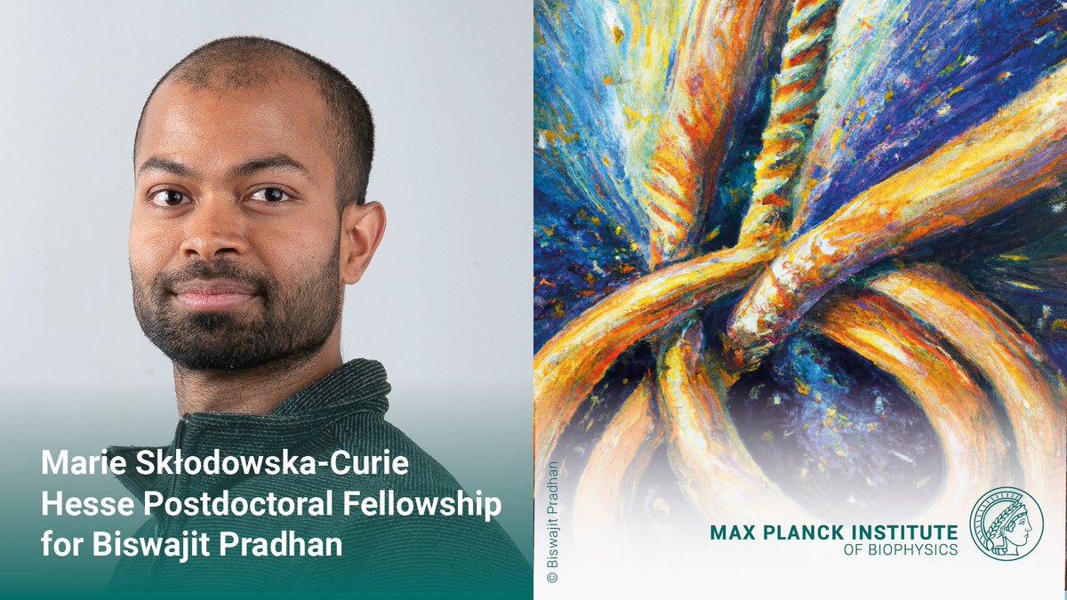 Max Planck Institute of Biophysics (@mpibp) on Twitter photo Warmest congrats to our postdoc @BisLightyear from our <a href="/EKimlab/">Eugene Kim lab</a> on being awarded a Marie Skłodowska-Curie Fellowship Hesse by the <a href="/HMWK_Hessen/">HMWK Hessen</a>👏 He will study emergency repair service proteins that help to fix serious damages in our DNA.
👉biophys.mpg.de/2769107/marie-…
<a href="/maxplanckpress/">Max Planck Society</a> Warmest congrats to our postdoc @BisLightyear from our <a href="/EKimlab/">Eugene Kim lab</a> on being awarded a Marie Skłodowska-Curie Fellowship Hesse by the <a href="/HMWK_Hessen/">HMWK Hessen</a>👏 He will study emergency repair service proteins that help to fix serious damages in our DNA.
👉biophys.mpg.de/2769107/marie-…
<a href="/maxplanckpress/">Max Planck Society</a>