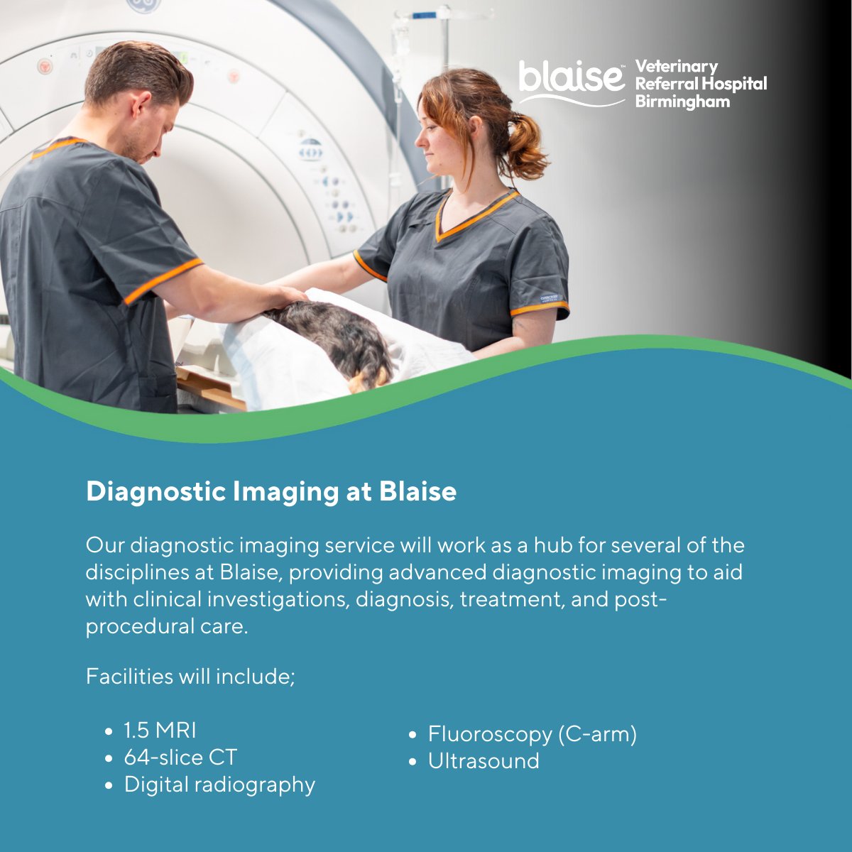 Blaise Veterinary Referral Hospital Birmingham tweet media