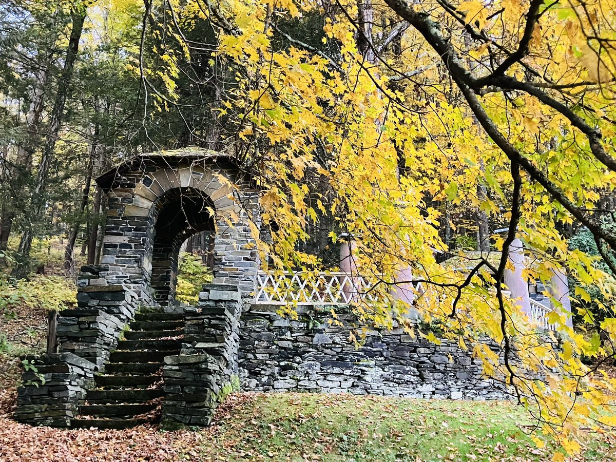 Sheila Liming tweet media