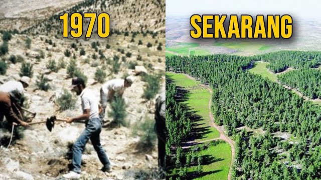 thepatriotsasia's tweet photo. “Yahudi Bakal Lari Belakang Pokok Gharqad.”

Geram betul tengok perangai Israel yang bunuh ramai rakyat Palestin, bom hospital Gaza dan hancurkan masjid yang orang Malaysia wakafkan. Jangan putus asa, esok lusa mereka akan sembunyi belakang pokok Gharqad! https://t.co/dO6fv9MXUy