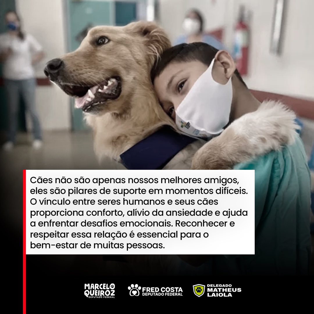 Fred Costa tweet media