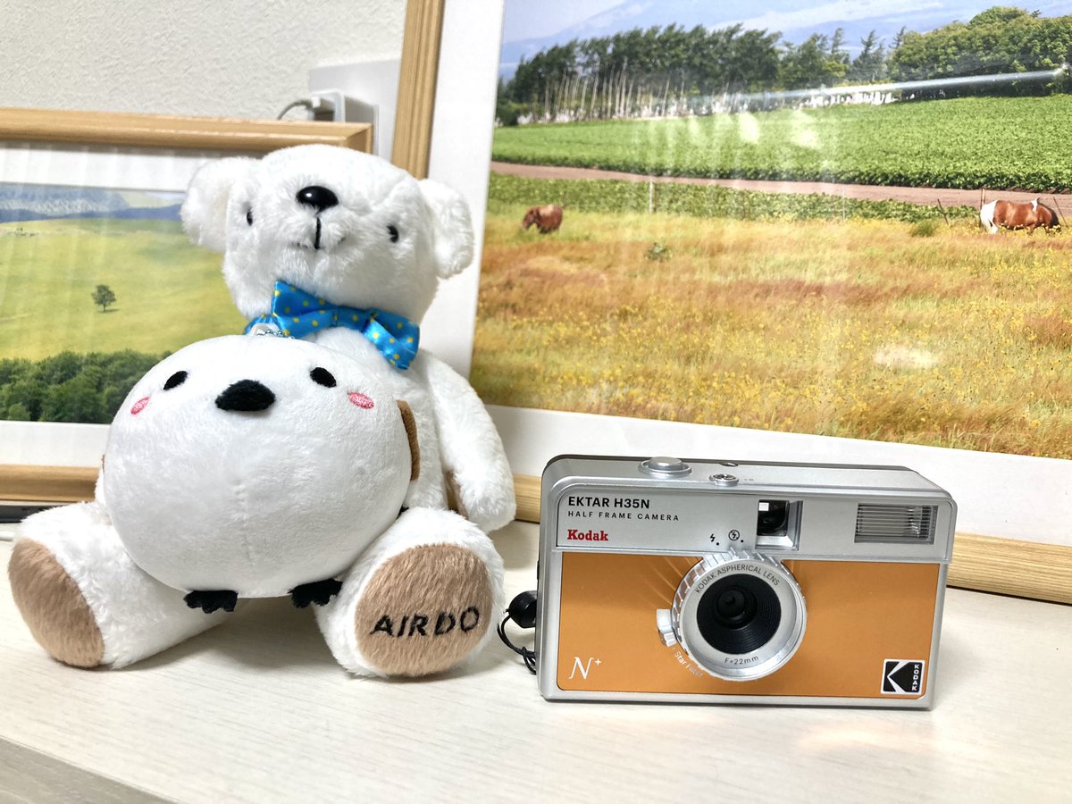 オレンジ色めっちゃ良い😄
ベアドゥとシマエナガと記念写真😁
いつか、北海道に持って行きたい☺️

#KodakEKTARH35N
#フィルムカメラ　#ハーフカメラ