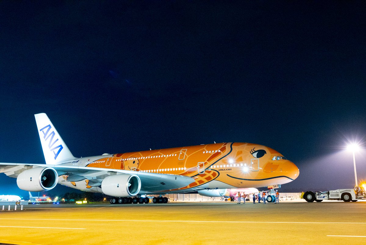 ANAのA380 FLYING HONU 3号機がついにデビュー！320名の旅客が乗せ